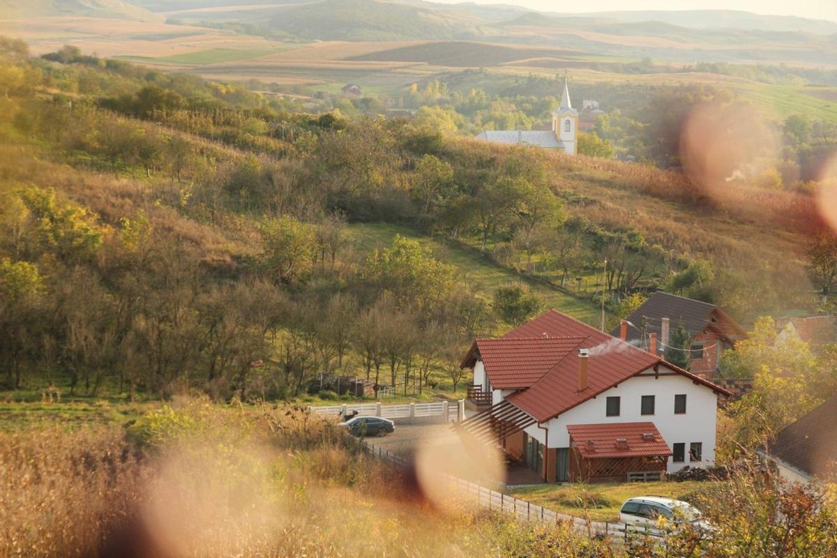 Pensiunea Casa Din VII Seusa Екстериор снимка