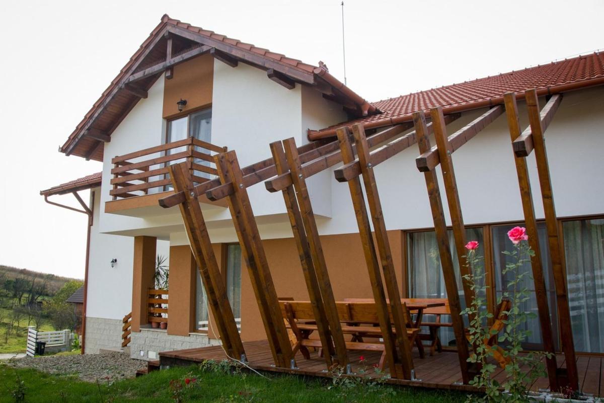 Pensiunea Casa Din VII Seusa Екстериор снимка