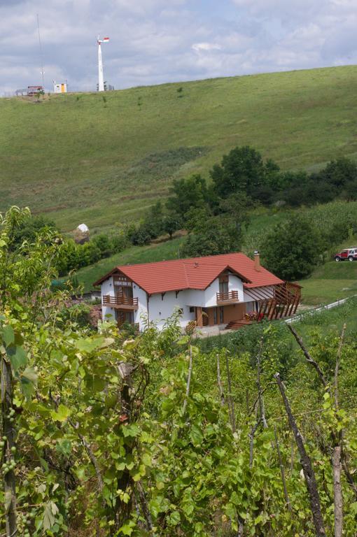 Pensiunea Casa Din VII Seusa Екстериор снимка