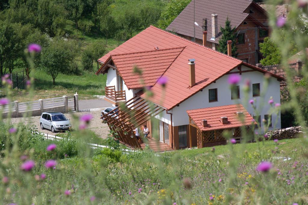 Pensiunea Casa Din VII Seusa Екстериор снимка