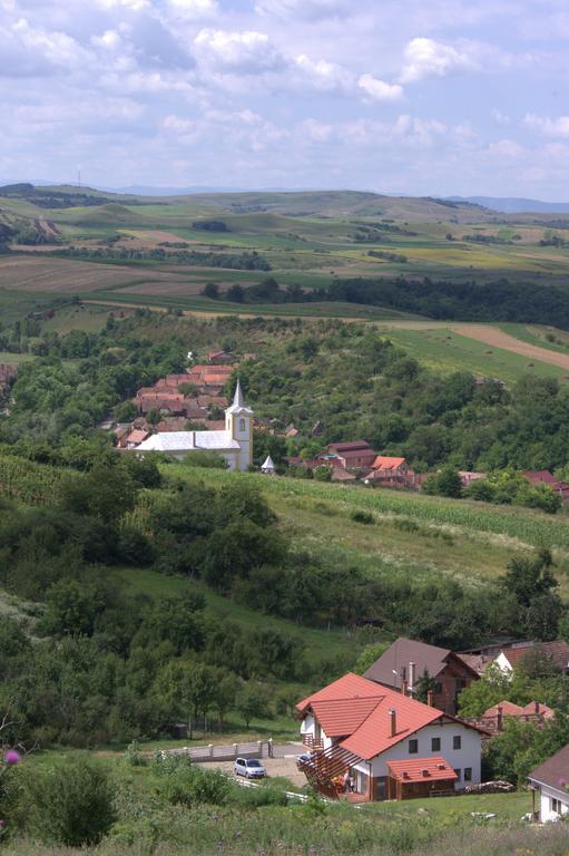 Pensiunea Casa Din VII Seusa Екстериор снимка
